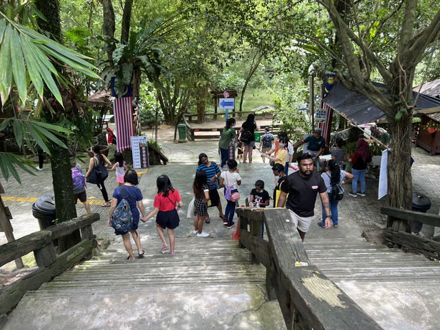Farm In The City KL – A Fun and Hands-On Experience for the Whole Family