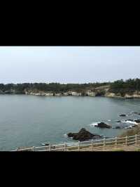 【東尋坊で心震える絶景体験】福井の断崖に立つ感動の瞬間🌊🗻