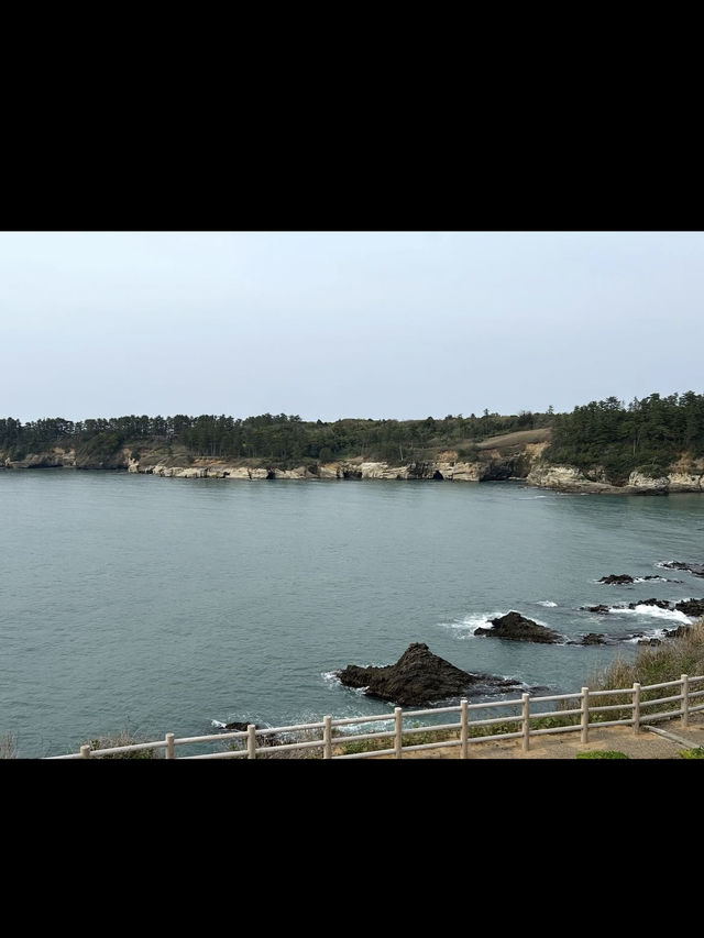 【東尋坊で心震える絶景体験】福井の断崖に立つ感動の瞬間🌊🗻