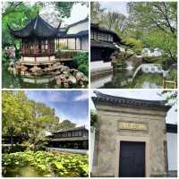 【中国/蘇州/拙政園】