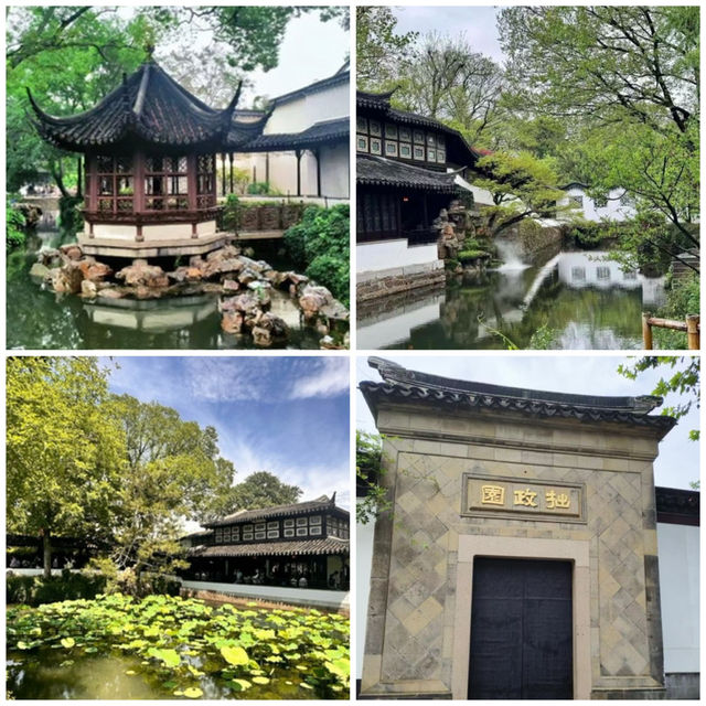 【中国/蘇州/拙政園】