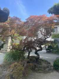 【神奈川県/鎌倉　紫陽花がキレイに咲いている穴場スポット】