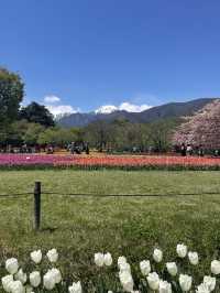 🌿長野・アルプス公園（松本市）｜家族で楽しめる広大な自然と遊びのスポット 