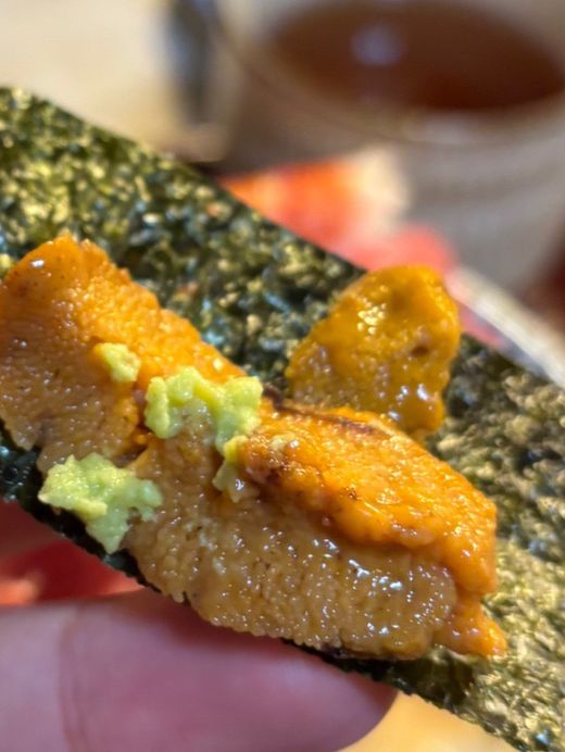 [에도후지] 후지산만큼 해산물을 쌓아 올려주는 카이센동🐟🍣 