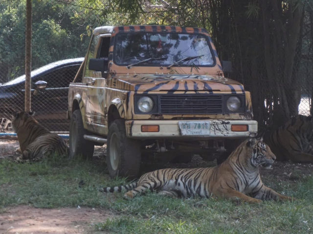 Safari Park Kanchanaburi | ซาฟารีปาร์ค กาญจนบุรี