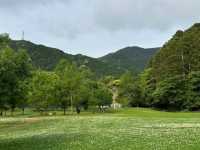 【里山で深呼吸🌿】かなたけの里公園で自然とふれあう休日を