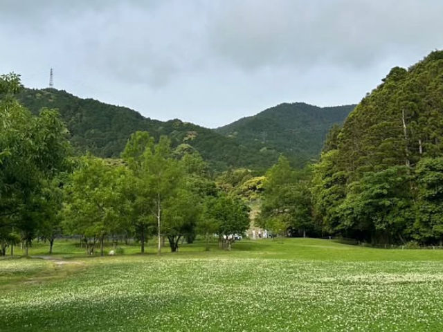 【里山で深呼吸🌿】かなたけの里公園で自然とふれあう休日を