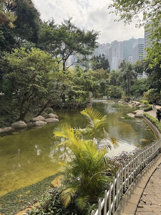 Hong Kong Park, Urban Oasis in the Heart of the City