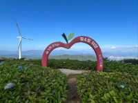 Wind, Hills, and Major Vibes at Gamaksan Wind Farm
