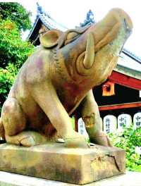 Go to this temple before betting in lottery, Marishiten Shrine