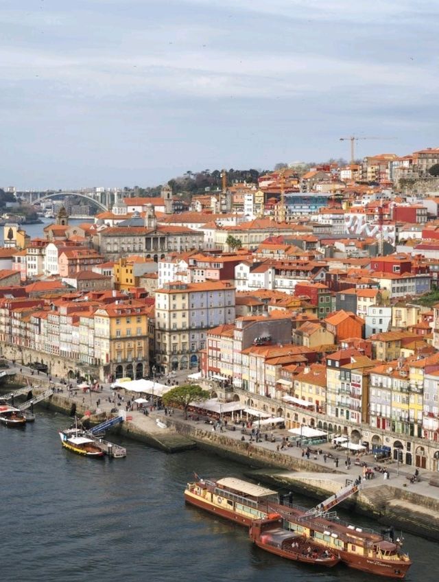 【まるで絵のような景色を巡る旅🖼️】ポルトガル第二の都市ポルトへ🇵🇹