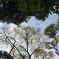 Fort Canning Park