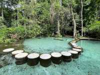 Baan Nam Rad Forest