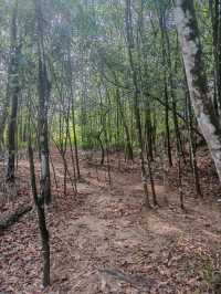 ⛰️ Conquer Nature at Kledang Hill Trail Head, Ipoh! 🌿