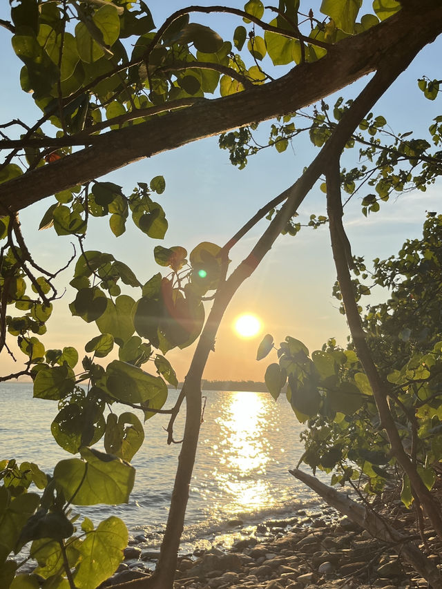 🌴達爾文市區小眾一日遊｜沒人搶拍的港口城市風，漫步立法廳、公園、海灘與老街🌊🌿