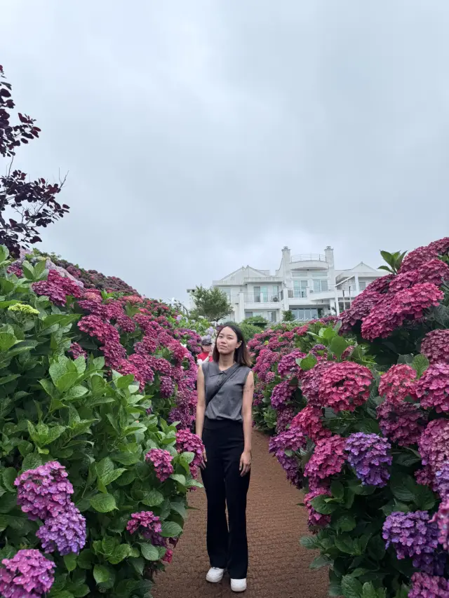 濟州3日2夜 自駕遊