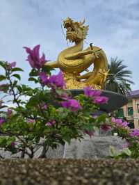 Glimpse of Sino-Portuguese