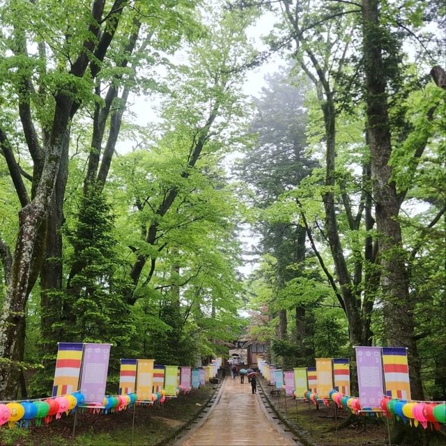 Temple Time & Zen Vibes, Haeinsa Hits Different