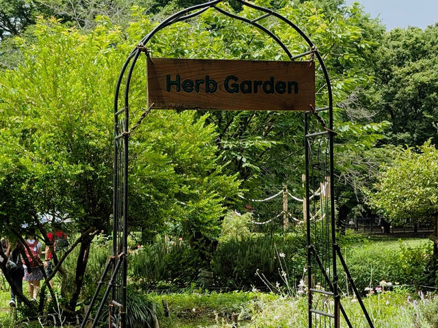 A Floral Escape at Yoyogi Park