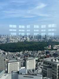 🏢【新宿都庁展望台】無料で東京の絶景を楽しめる穴場スポット！