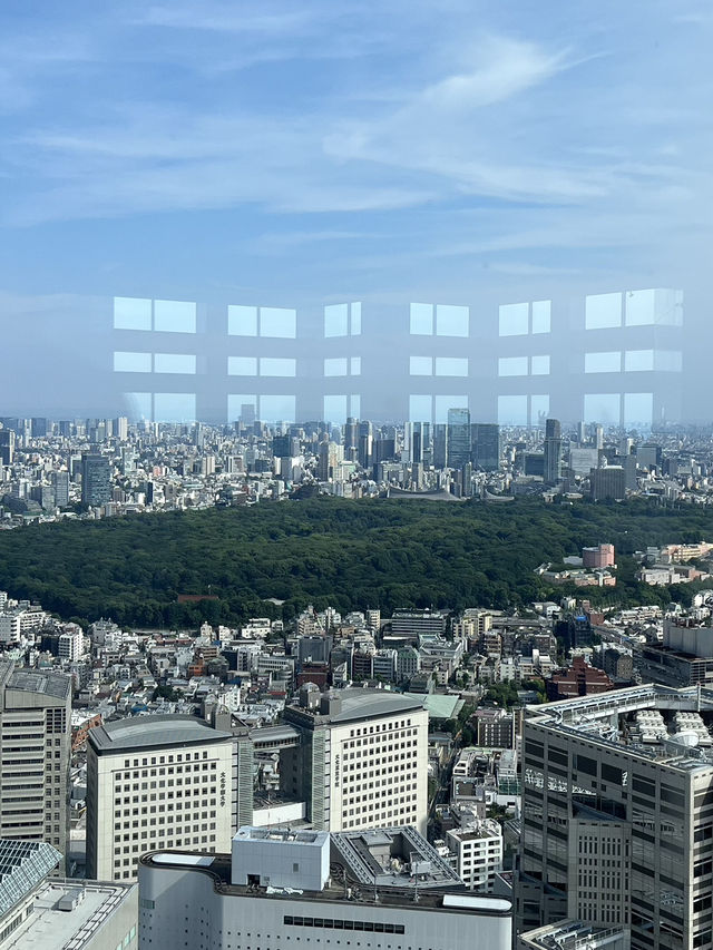 🏢【新宿都庁展望台】無料で東京の絶景を楽しめる穴場スポット！