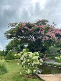BU-CO-LIC khao yai