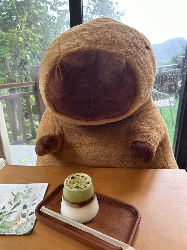#小啡樅 