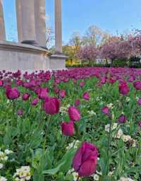 Alexandra Gardens 
