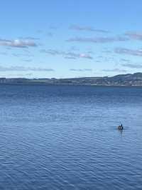 💙🦢 New Zealand’s Lake Days – Where the Sky Meets the Water