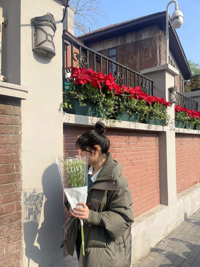 🌿도시 속 여유를 걸으며 힐링! 톈진 힐링루트
