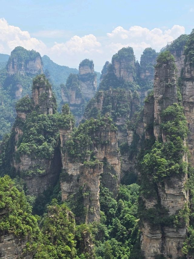 Zhangjiajie National Forest Park rocks!! 🏞