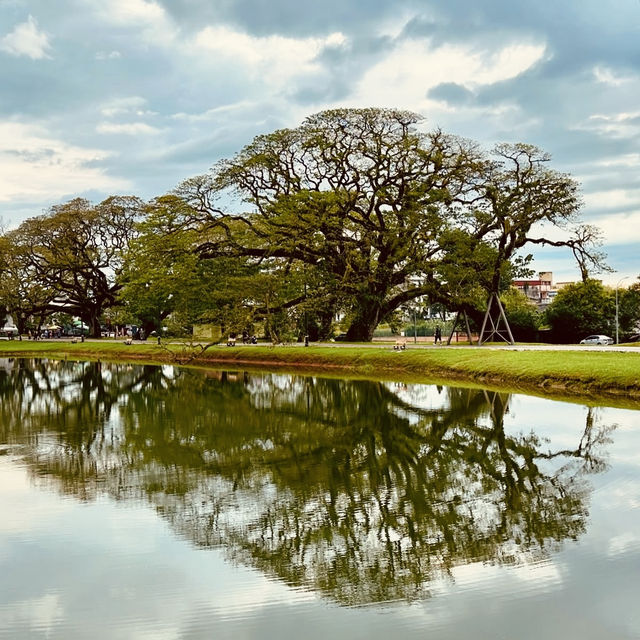 Taman Tasik Taiping: A Misty Summer Morning in Malaysia’s Oldest Garden