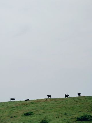 Shimane & Oki Islands｜Embark on a journey to remote islands where the gods breathe