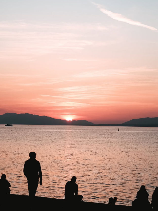 🌅島根・松江｜宍道湖｜夕日に染まる湖畔で、心ほどける絶景のひととき🦢✨
