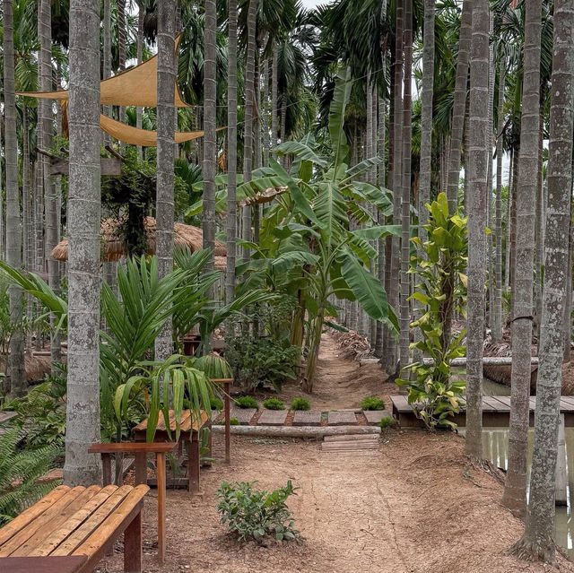 ฌาณ หมาก Coffee & Farm • Chachoengsao 🌴🛖