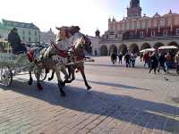 Krakow Poland is very beautiful and worth to go few times