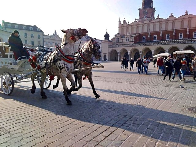 Krakow Poland is very beautiful and worth to go few times