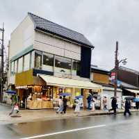 日本散策：古都奈良，與神的使者相遇