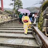 日本散策：古都奈良，與神的使者相遇