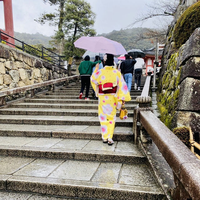 日本散策：古都奈良，與神的使者相遇