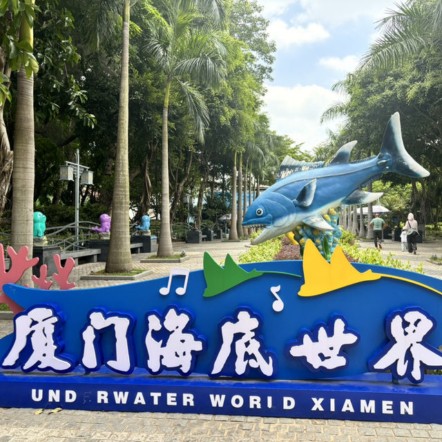 鼓浪嶼攻略！😎 廈門必去！