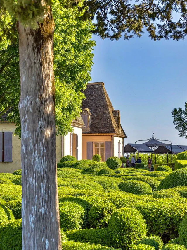 🇫🇷 A Summer Escape into a Living Sculpture – Marqueyssac Gardens 💐 
