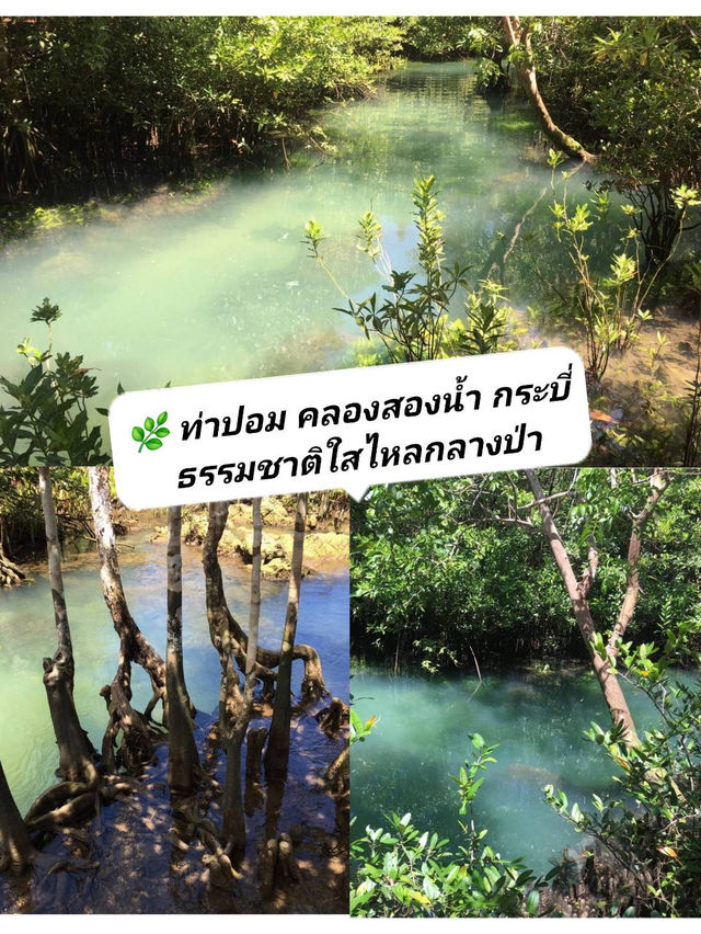 🌿 ท่าปอม คลองสองน้ำ | ธรรมชาติใสไหลกลางป่า