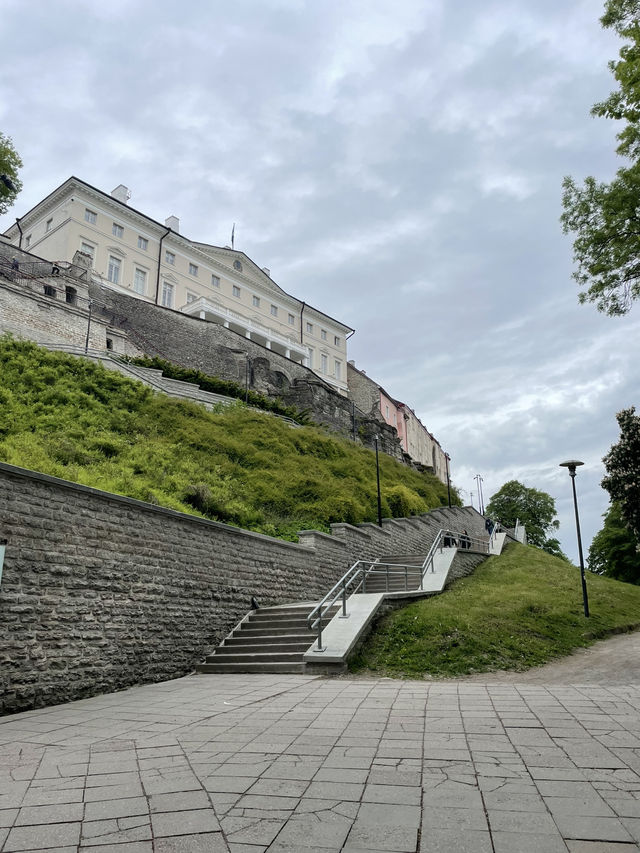 🛳️✨ 헬싱키에서 떠나는 동화 속 하루 여행 Tallinn 당일치기 투어 가이드 🇪🇪💙
