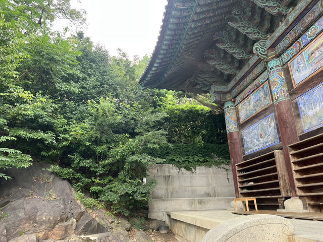 봉은사 대웅전과 경내