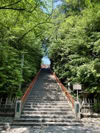 仙台｜国宝 大崎八幡宮