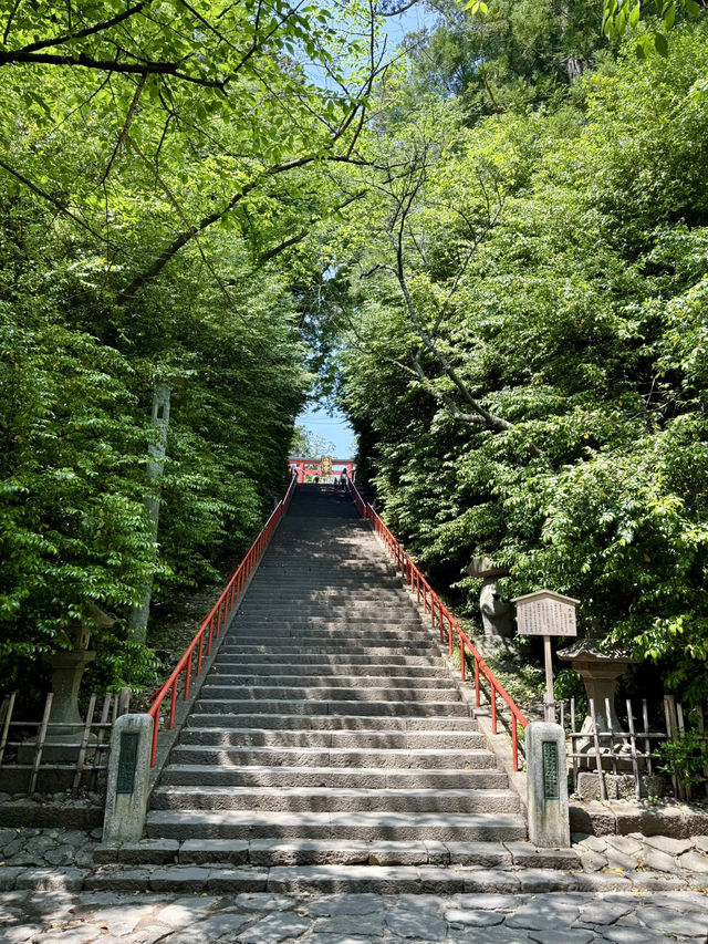 仙台｜国宝 大崎八幡宮