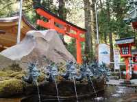 📍箱根神社 · 森林中的靜謐力量