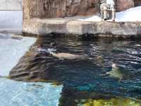 跟著企鵝走！北海道高人氣旭山動物園雪季巡禮
