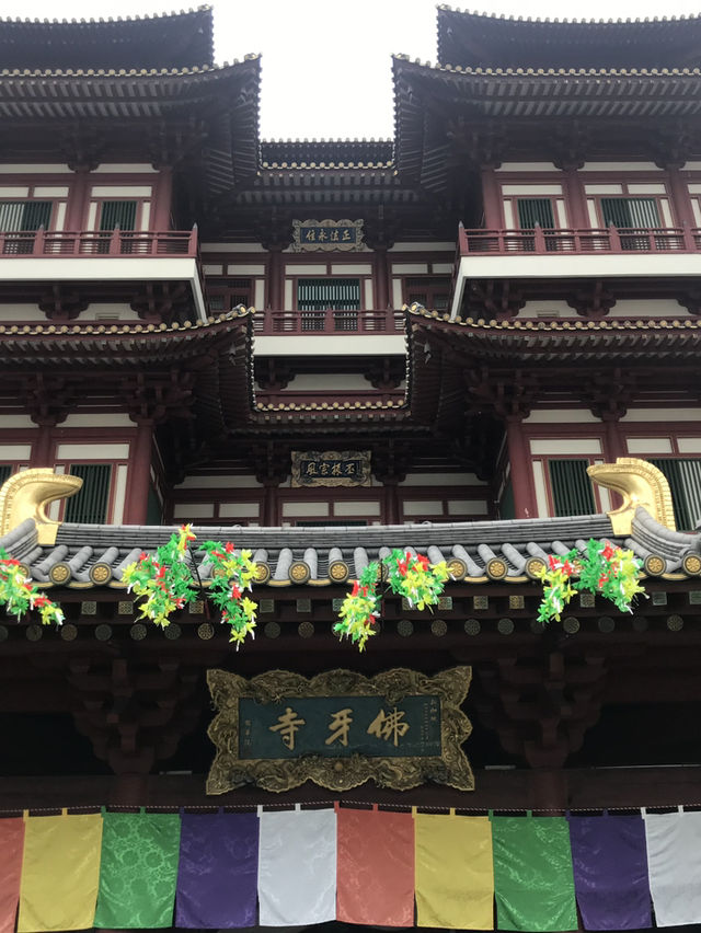 新加坡牛車水日常：南洋老咖啡 × 天天海南雞飯 × 佛牙寺